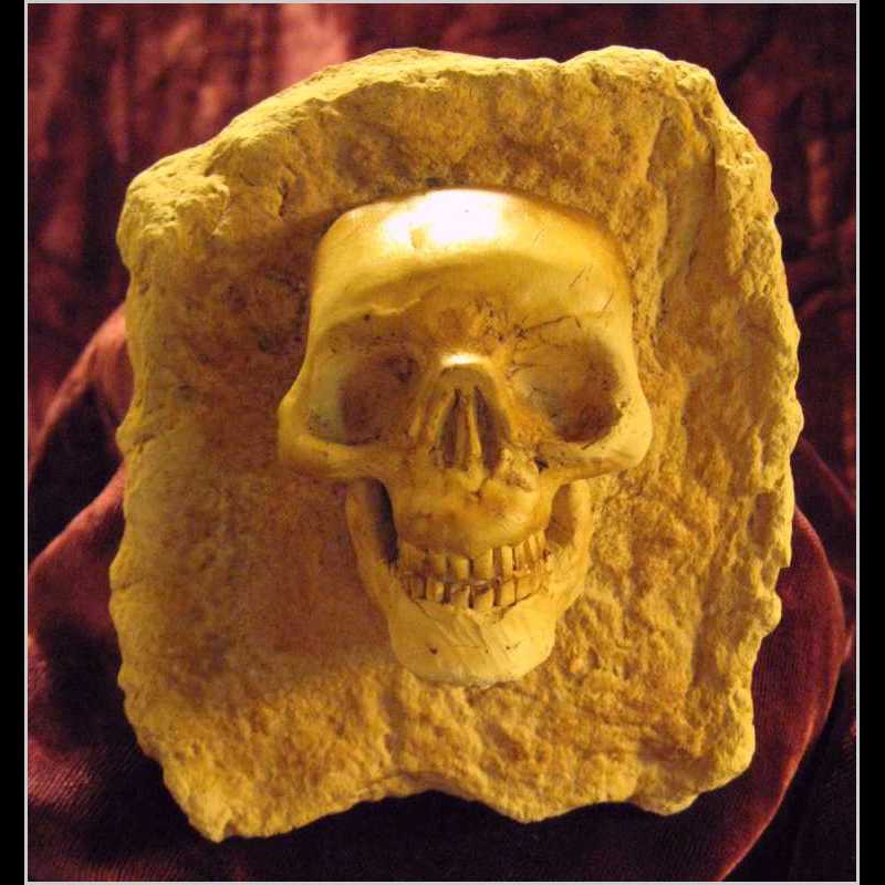 E19DM - The Skull E19DM - The Skull